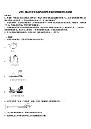 2024届山东省平邑县八年级物理第二学期期末经典试题含解析.doc