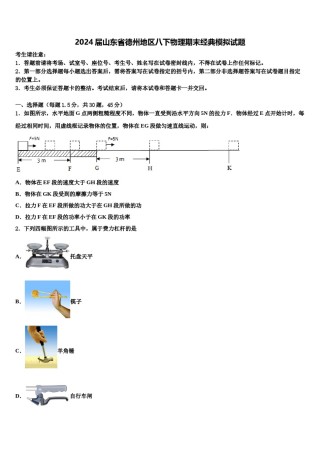 2024届山东省德州地区八下物理期末经典模拟试题含解析.doc