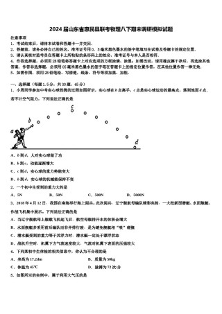 2024届山东省惠民县联考物理八下期末调研模拟试题含解析.doc