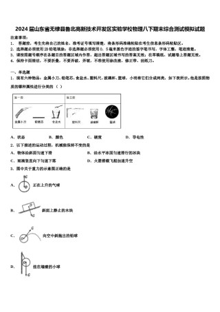 2024届山东省无棣县鲁北高新技术开发区实验学校物理八下期末综合测试模拟试题含解析.doc