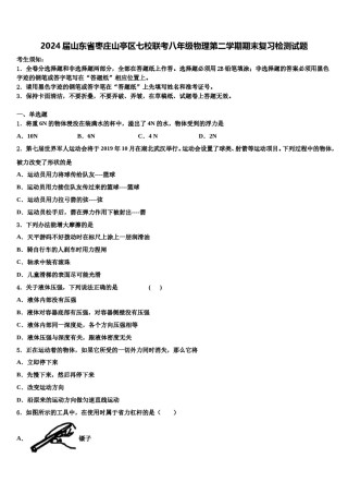 2024届山东省枣庄山亭区七校联考八年级物理第二学期期末复习检测试题含解析.doc