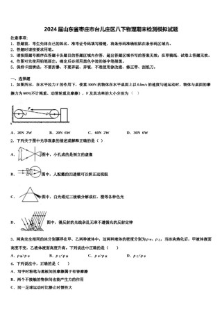2024届山东省枣庄市台儿庄区八下物理期末检测模拟试题含解析.doc