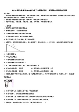 2024届山东省泰安市泰山区八年级物理第二学期期末调研模拟试题含解析.doc