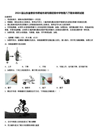 2024届山东省泰安市肥城市湖屯镇初级中学物理八下期末调研试题含解析.doc