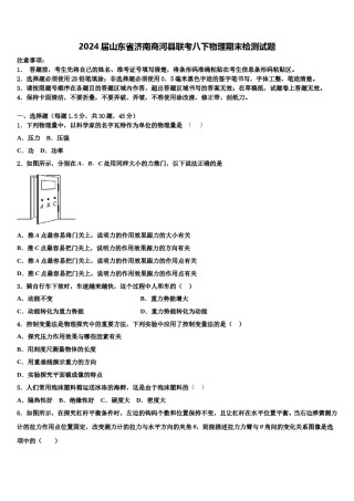 2024届山东省济南商河县联考八下物理期末检测试题含解析.doc