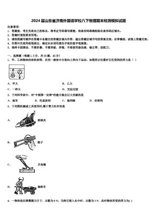 2024届山东省济南外国语学校八下物理期末检测模拟试题含解析.doc