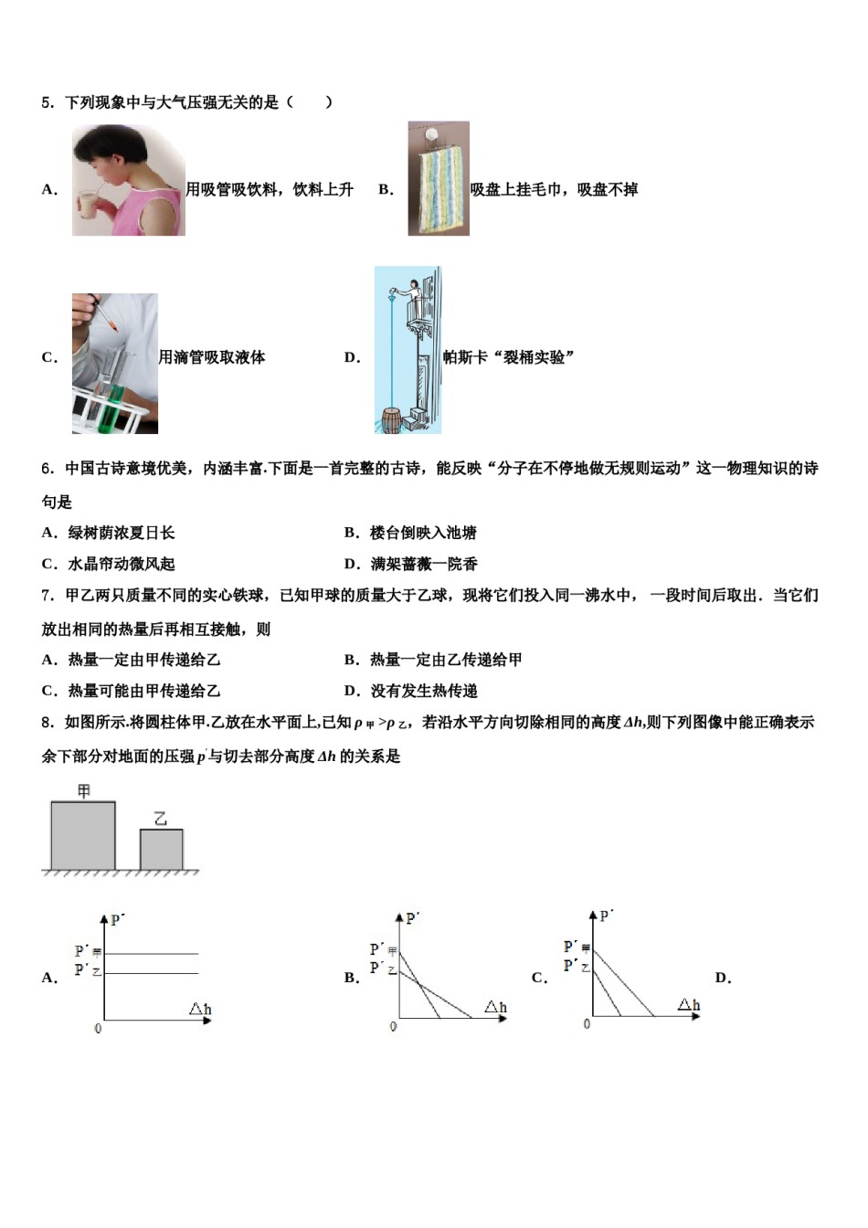 2024届山东省济南市平阴县物理八下期末教学质量检测模拟试题含解析.doc_第2页
