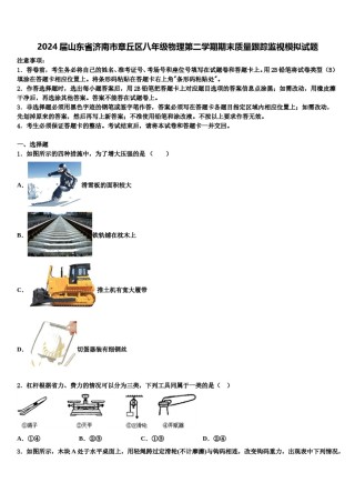 2024届山东省济南市章丘区八年级物理第二学期期末质量跟踪监视模拟试题含解析.doc