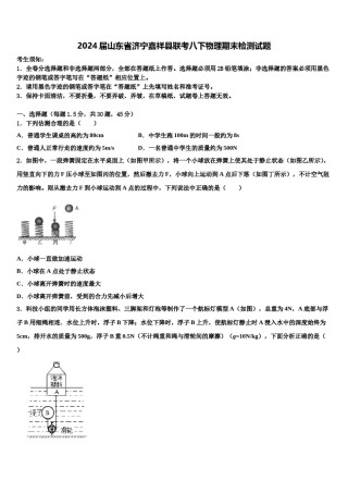 2024届山东省济宁嘉祥县联考八下物理期末检测试题含解析.doc