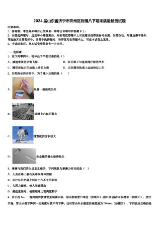 2024届山东省济宁市兖州区物理八下期末质量检测试题含解析.doc