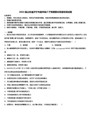 2024届山东省济宁市嘉祥县八下物理期末质量检测试题含解析.doc