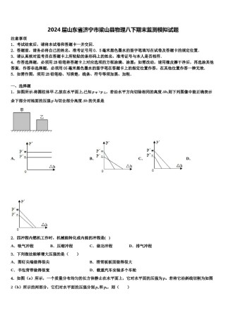 2024届山东省济宁市梁山县物理八下期末监测模拟试题含解析.doc