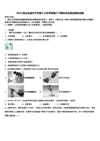 2024届山东省济宁市第十三中学物理八下期末综合测试模拟试题含解析.doc