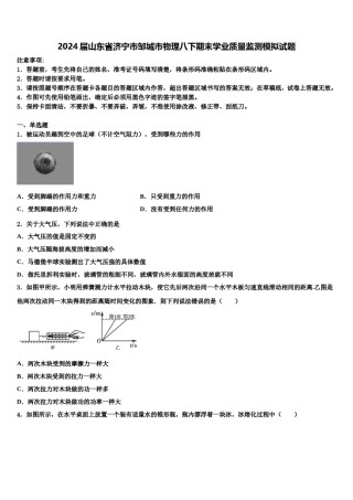 2024届山东省济宁市邹城市物理八下期末学业质量监测模拟试题含解析.doc