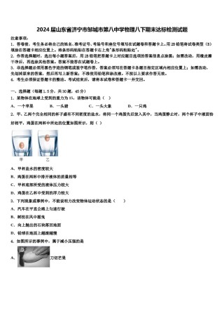 2024届山东省济宁市邹城市第八中学物理八下期末达标检测试题含解析.doc