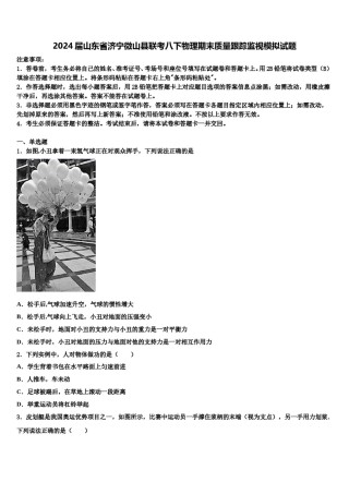 2024届山东省济宁微山县联考八下物理期末质量跟踪监视模拟试题含解析.doc