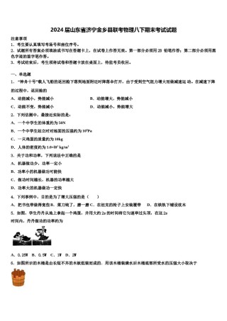 2024届山东省济宁金乡县联考物理八下期末考试试题含解析.doc