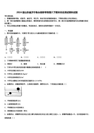 2024届山东省济宁鱼台县联考物理八下期末综合测试模拟试题含解析.doc