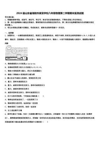 2024届山东省海阳市美宝学校八年级物理第二学期期末监测试题含解析.doc