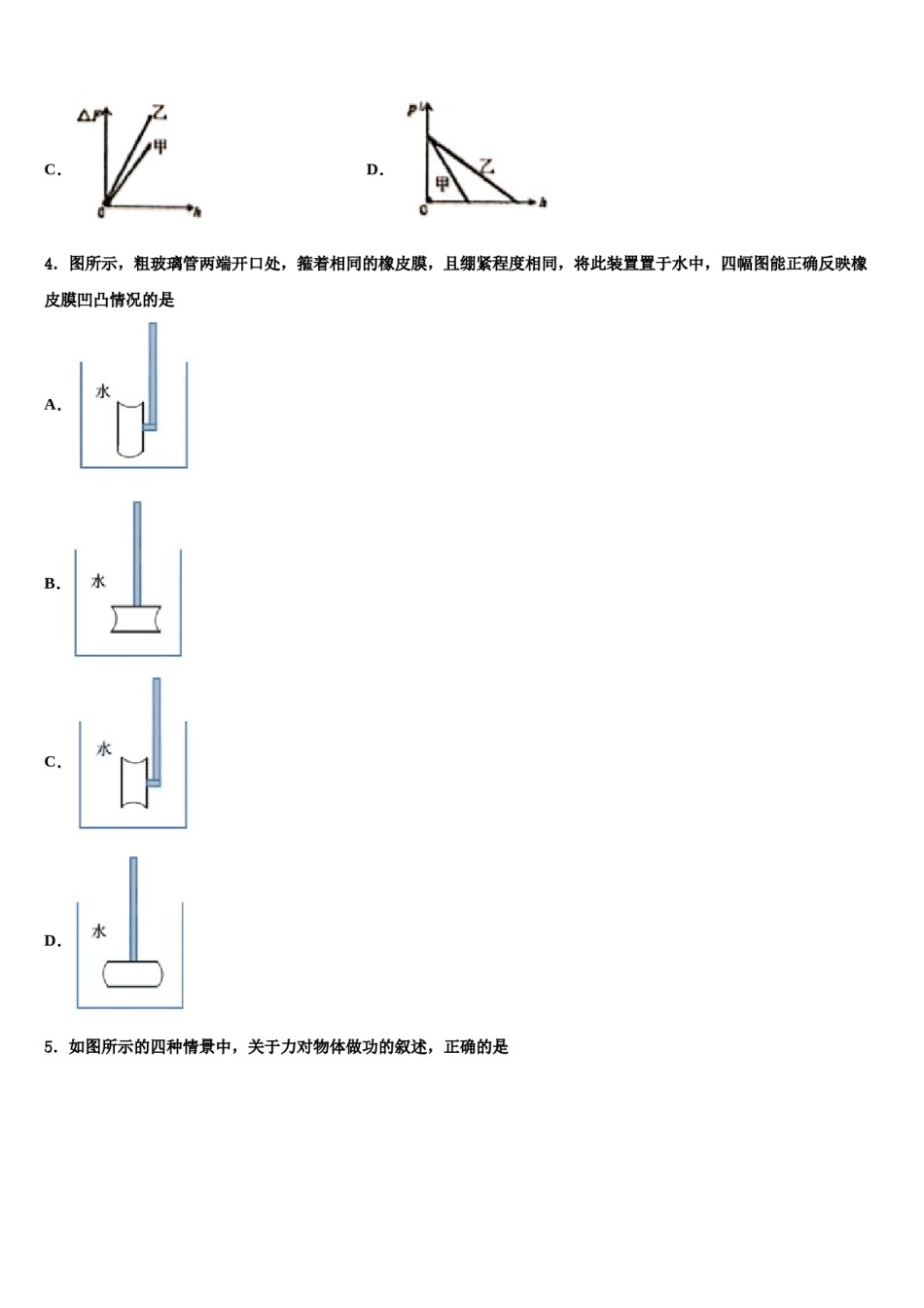 2024届山东省淄博市临淄区第二中学物理八下期末综合测试试题含解析.doc_第2页