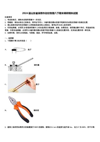 2024届山东省淄博市名校物理八下期末调研模拟试题含解析.doc