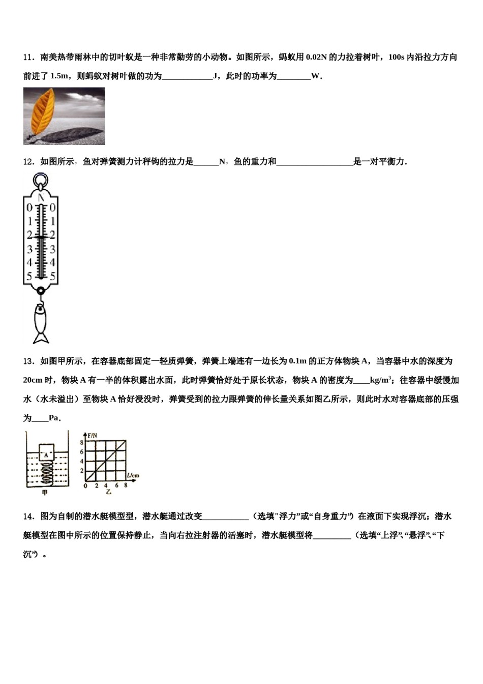 2024届山东省淄博市桓台县物理八下期末考试模拟试题含解析.doc_第3页