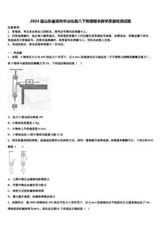 2024届山东省滨州市沾化县八下物理期末教学质量检测试题含解析.doc