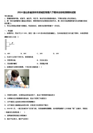 2024届山东省滨州市滨城区物理八下期末达标检测模拟试题含解析.doc