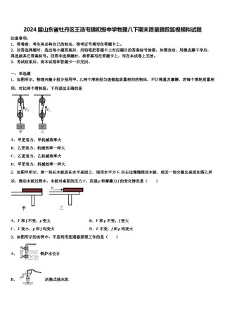 2024届山东省牡丹区王浩屯镇初级中学物理八下期末质量跟踪监视模拟试题含解析.doc