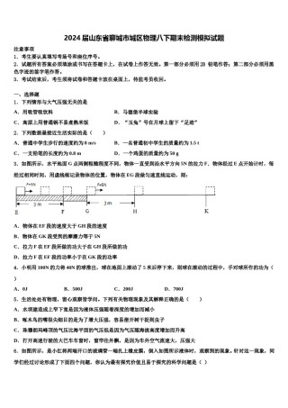 2024届山东省聊城市城区物理八下期末检测模拟试题含解析.doc