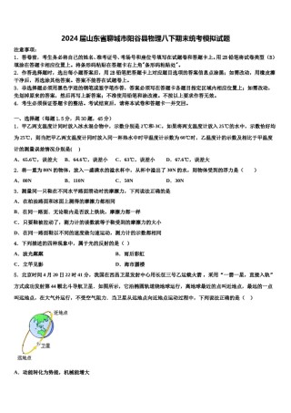 2024届山东省聊城市阳谷县物理八下期末统考模拟试题含解析.doc
