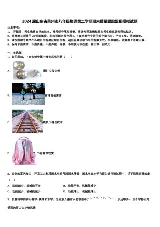 2024届山东省莱州市八年级物理第二学期期末质量跟踪监视模拟试题含解析.doc