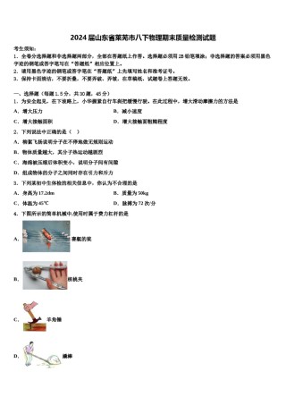 2024届山东省莱芜市八下物理期末质量检测试题含解析.doc