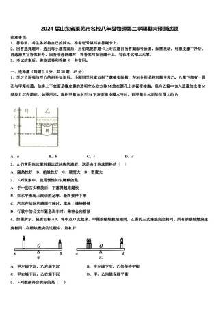 2024届山东省莱芜市名校八年级物理第二学期期末预测试题含解析.doc