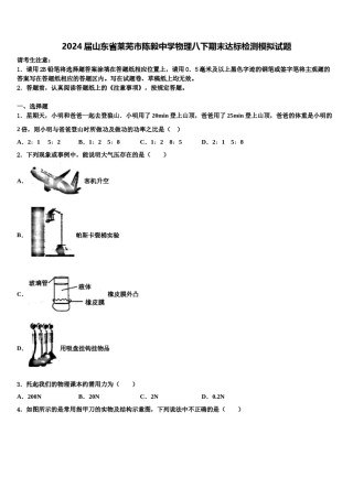 2024届山东省莱芜市陈毅中学物理八下期末达标检测模拟试题含解析.doc