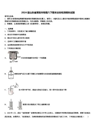 2024届山东省莱阳市物理八下期末达标检测模拟试题含解析.doc