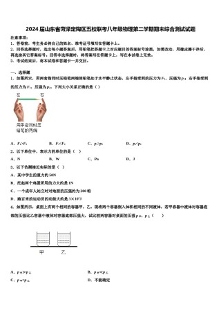 2024届山东省菏泽定陶区五校联考八年级物理第二学期期末综合测试试题含解析.doc