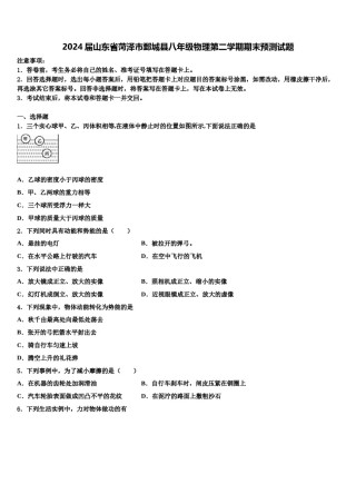 2024届山东省菏泽市鄄城县八年级物理第二学期期末预测试题含解析.doc