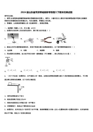 2024届山东省菏泽郓城县联考物理八下期末经典试题含解析.doc