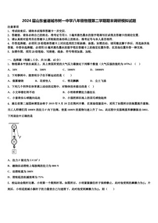 2024届山东省诸城市树一中学八年级物理第二学期期末调研模拟试题含解析.doc