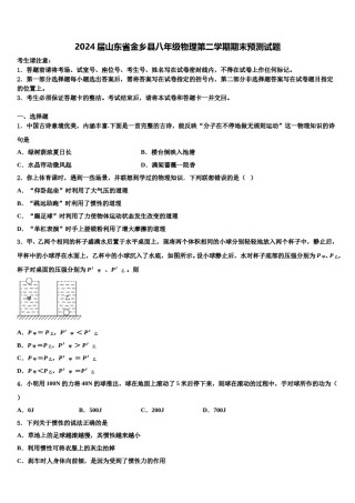 2024届山东省金乡县八年级物理第二学期期末预测试题含解析.doc