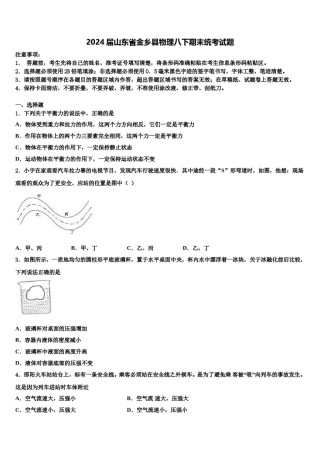 2024届山东省金乡县物理八下期末统考试题含解析.doc