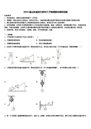 2024届山东省青大附中八下物理期末调研试题含解析.doc