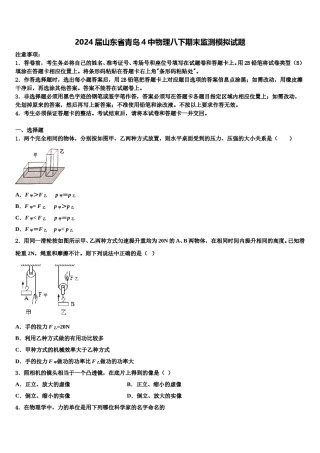2024届山东省青岛4中物理八下期末监测模拟试题含解析.doc