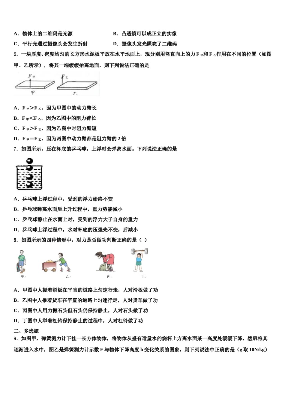 2024届山东省青岛大附属中学物理八下期末达标检测试题含解析.doc_第2页