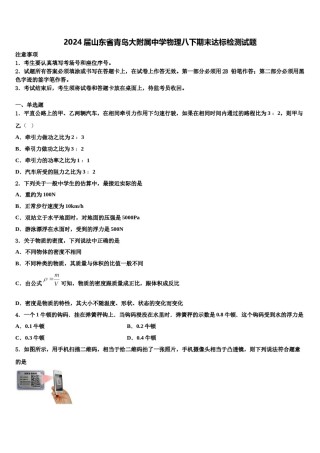 2024届山东省青岛大附属中学物理八下期末达标检测试题含解析.doc
