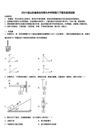 2024届山东省青岛市第九中学物理八下期末监测试题含解析.doc