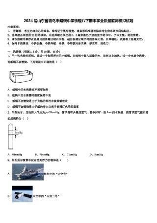 2024届山东省青岛市超银中学物理八下期末学业质量监测模拟试题含解析.doc