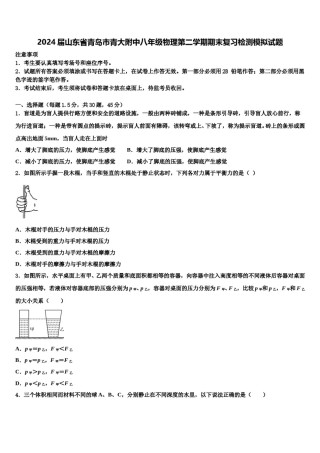 2024届山东省青岛市青大附中八年级物理第二学期期末复习检测模拟试题含解析.doc