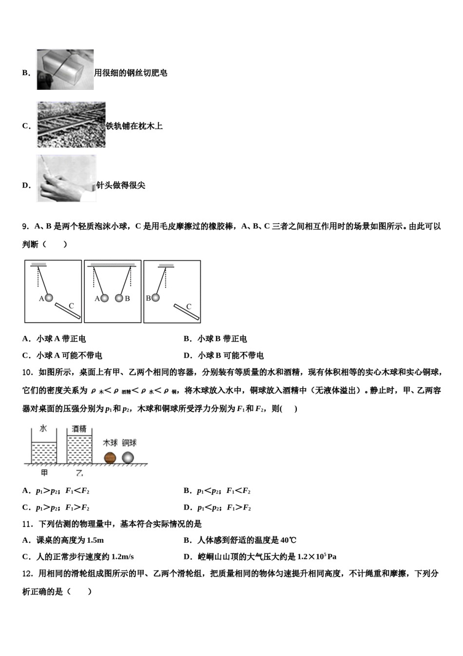 2024届山东省青岛市青大附中物理八下期末检测模拟试题含解析.doc_第3页